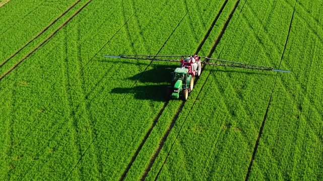 A tractor spraying a grain field with mist, creating parallel lines on lush green crops