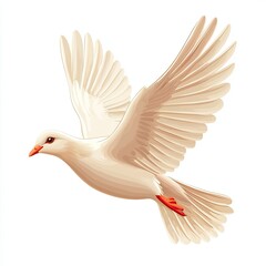 Fototapeta premium White Dove in Flight Against White Background