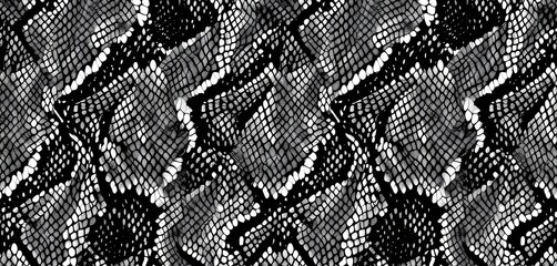 Vector Black Snake Skin Seamless