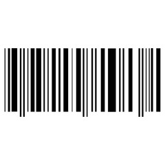 Barcode Icon
