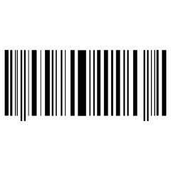 Barcode Icon