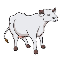 cow vector illustration