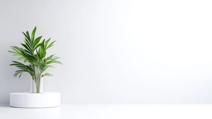 Palm Plant on White Pedestal Minimalist Modern Style High-Resolution Soft Lighting Wide Shot Clean Lines Displayed on Stand Peaceful Serenity Ideal for Product Mockups