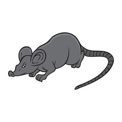 rat vector illustration