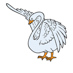 swan vector illustration