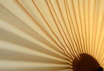 shadow of a fan on a wall