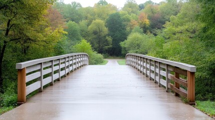 Wet, wooden bridge through autumnal forest.  A pathway leads into the distance through a park