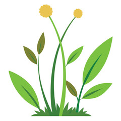 Obraz premium Weeds-on-white-background. 