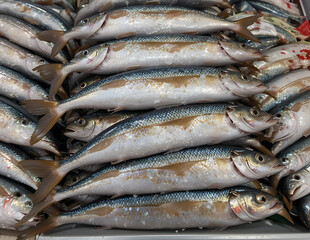 Fototapeta premium Shiny mackerel fish stacked at a local fish market.