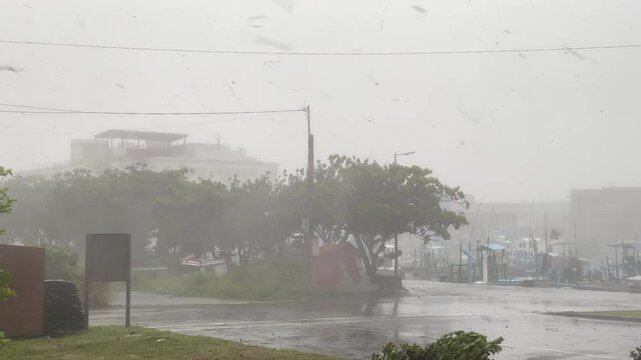Hurricane Moves In Strong Wind Leaves Flying Through Air - Haikui