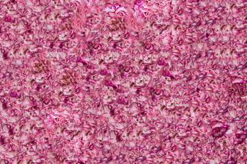 Obraz premium Fresh pink flowers for background