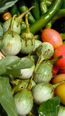 Fresh vegetables for cooking. Vegetables contain dietary fiber that helps cleanse the intestines.