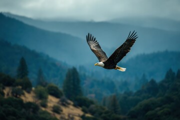 Bald eagle gliding gracefully through a tranquil vista, capturing the essence of wildlife for nature lovers and advocates focused on preserving america's iconic species