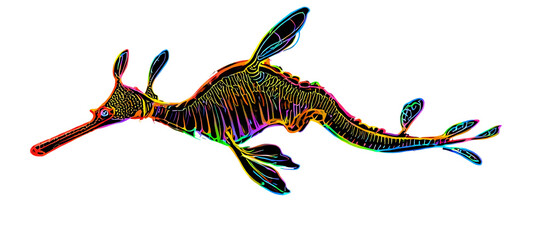 Seadragon