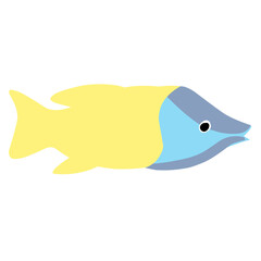 Illustration set of various tropical fish