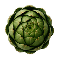 Fototapeta premium Vibrant green artichoke bud presented from above, revealing its tightly woven leaves and natural geometric structure.