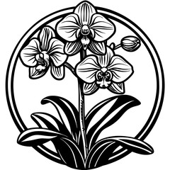 orchid vector silhouette illustration svg 