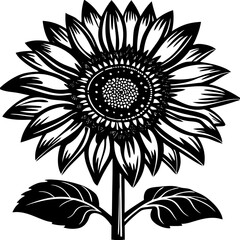 sunflower vector silhouette and illustration  svg 