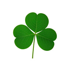 Green Clover And Shamrock, Generative AI