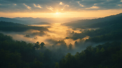 Obraz premium misty appalachian valley bathed in soft morning light