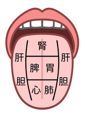 Naklejka premium 東洋医学の舌診イラスト、舌でわかる臓器の健康状態