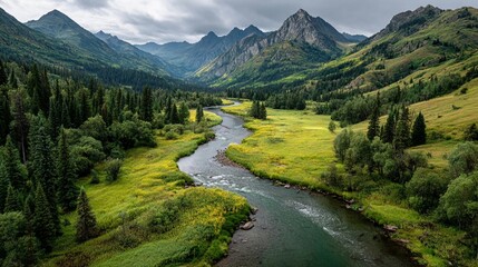Obraz premium Aerial Winding River in Lush Valley Drone Shot/緑の谷を流れる川5