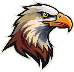 Obraz premium american bald eagle with white background