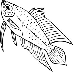 hand drawn cartoon illustration of a fish.