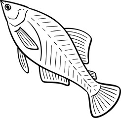 hand drawn cartoon illustration of a fish.