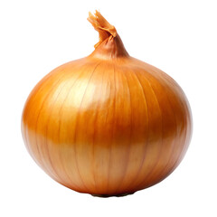 Fresh Yellow Onion Vegetable Photo
