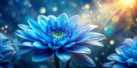 Obraz premium Blue Flower Blossom with Bokeh Lights