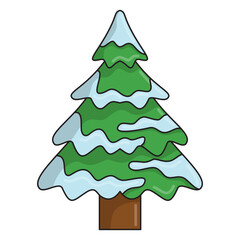 Pine Tree