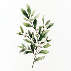 Obraz premium Elegant Green Leaves with White Berries on Minimalist Background