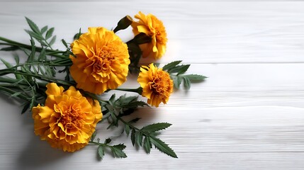 Top view floral frame with marigolds on white wooden background flatlay flower border minimal botanical poster for natural mockup