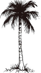 Fototapeta premium Dark Palm Tree Silhouette Illustration, Isolated Transparent Background