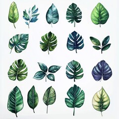 Fototapeta premium Tropical Leaf Collection