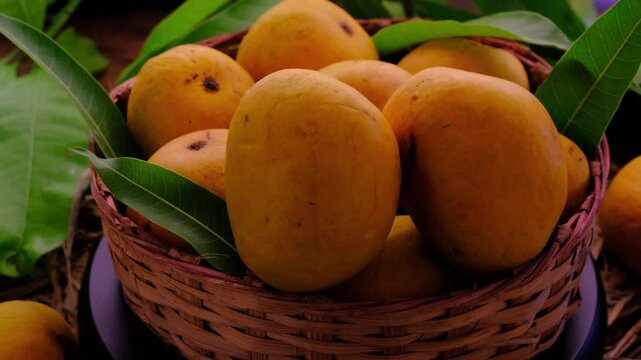 Mango tropical fruit with green leaf, Ripe mango in grass closeup