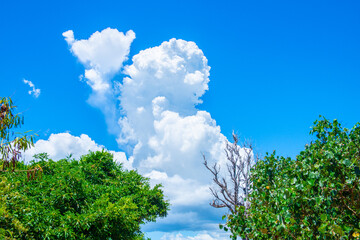 積乱雲