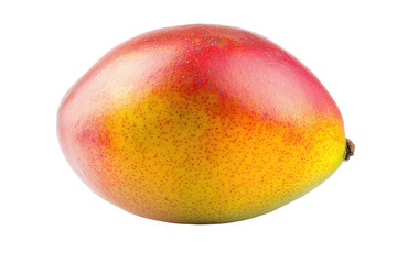 Obraz premium Solitary, perfectly ripe mango, with a rich blend of red and yellow hues, is presented in a setting.