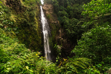 vertical shot of landscape of a waterfall of pure water in the middle of the mountain surrounded by tropical forest and Costa Rican jungle