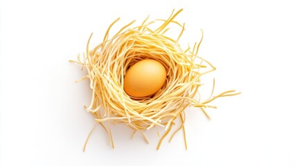 Fototapeta premium Egg in a birds nest of thin branches on a clean white background.