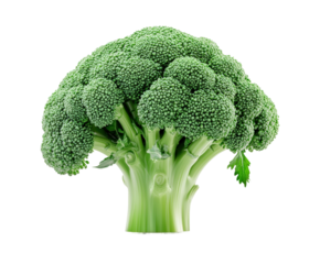 Harvesting fresh broccoli farm food greenhouse isolated on transparent background