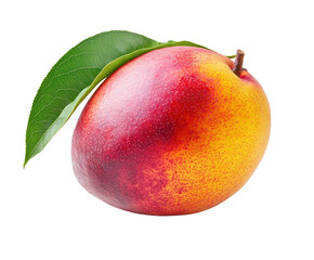 Fresh mango harvest orchard food natural isolated on transparent background
