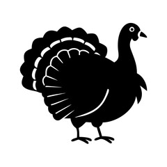 Fototapeta premium Black Silhouette of a Thanksgiving Turkey with a Large Tail