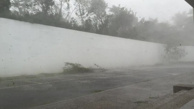 Major Hurricane Eyewall Thrashing Trees In Powerful Wind - Haikui