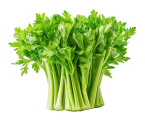 Harvesting fresh celery stalks at a local farm nature scene isolated on transparent background