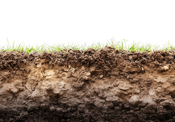 Exploring soil layers and grass growth nature isolated on transparent background