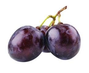 Fresh purple plums fruit market still life isolated on transparent background