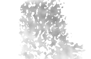 Abstract natural tree leaves shadow on white wall background, Isolated on transparent background, PNG	