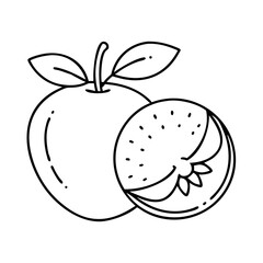 fruit icon, fruit line art - simple line art of fruit, perfect for fruit logos and icons